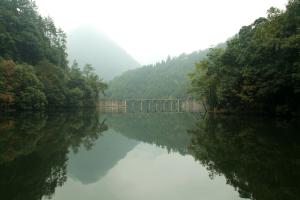 杭州綠荷塘古楠木森林